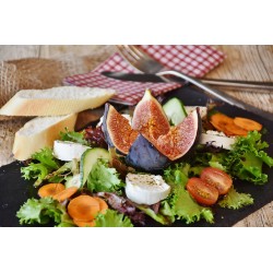 Jantar